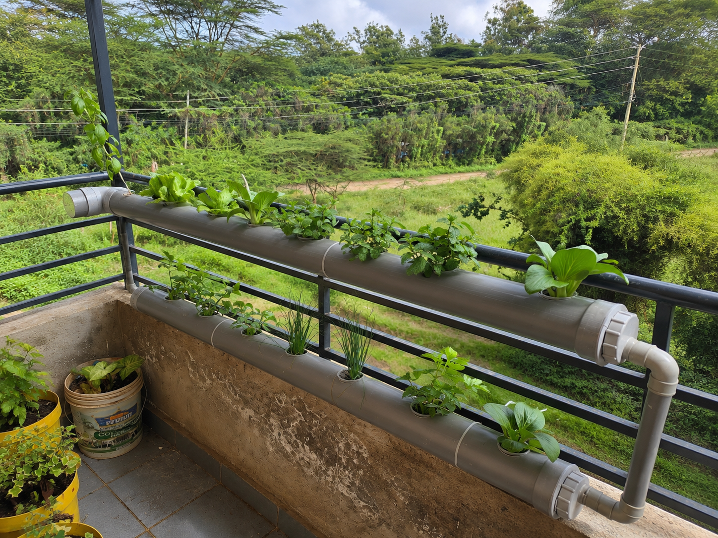 NFT System